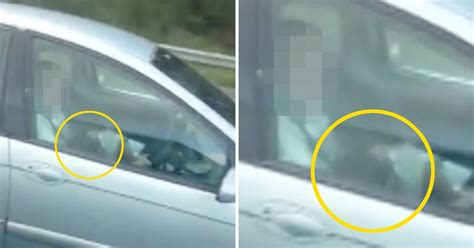 driving blow jobs|Driver caught ‘receiving blow job’ from passenger on the M62.